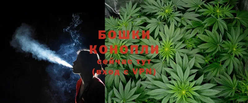 хочу   Николаевск  Бошки Шишки White Widow 